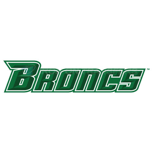Texas Pan American Broncs Iron-on Stickers (Heat Transfers)NO.6524